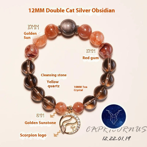 Capricorn Zodiac Elegance